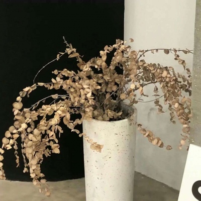 Furry兽圈经典作品解读福瑞交流群